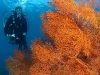 photo_2